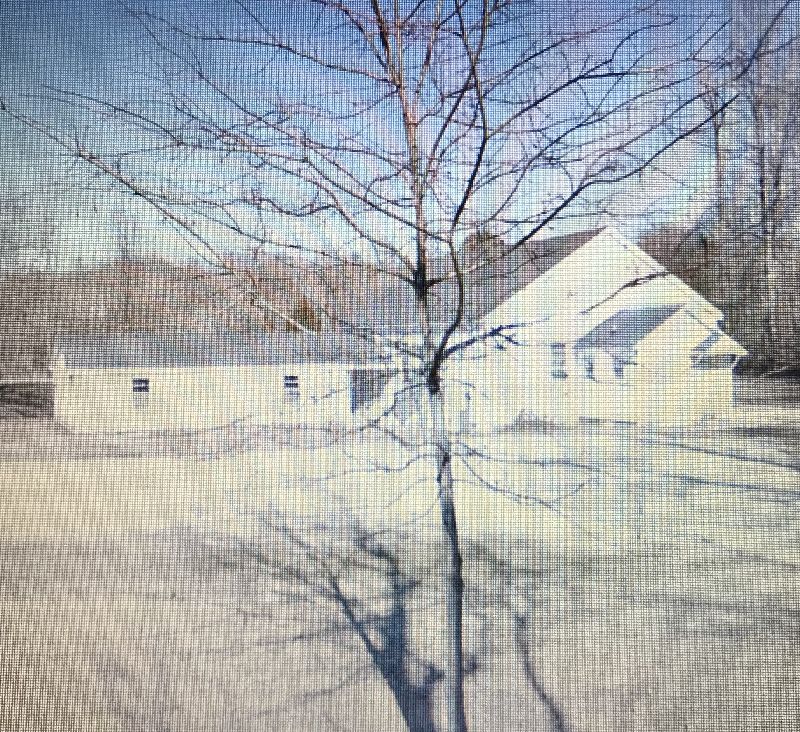 Laodicea Primitive Baptist Church